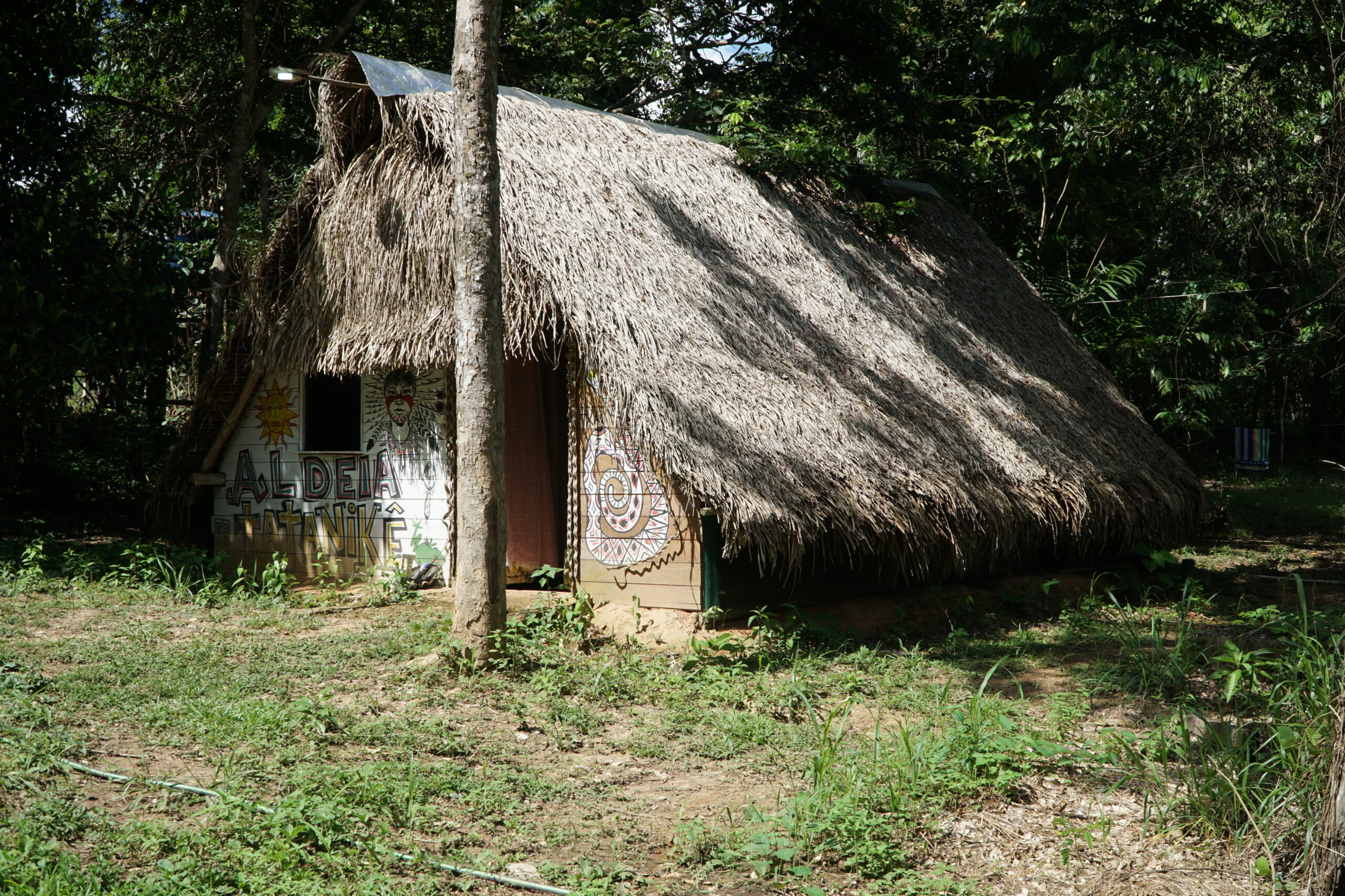 DSC01923