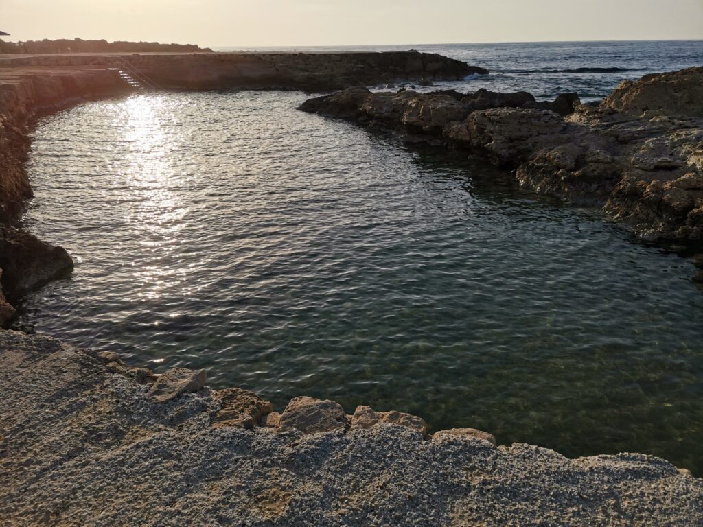 IMG_20230304_165053