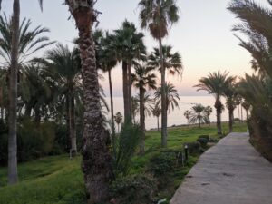 Cyprus year end